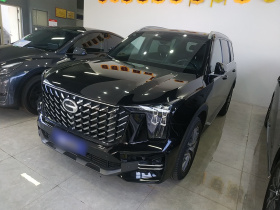 广汽传祺 传祺GS8 2022款 领航系列 2.0TGDI 四驱豪华智联版（七座）