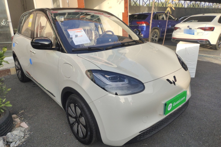 五菱汽车 五菱缤果 2025款 333km 悦享款车身外观3