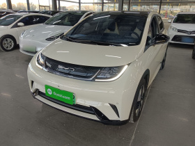 比亚迪 海豚 2023款 420km 时尚版