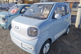 奔腾小马 2026款 222km 闪耀马