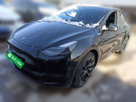 特斯拉 Model Y 2021款 标准续航后驱版