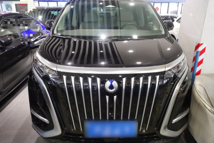 腾势D9 2024款 EV 620 尊享型车身外观2