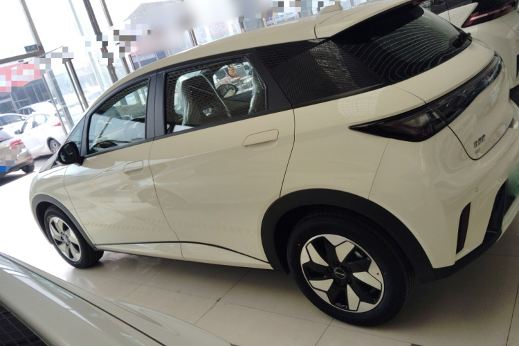 比亚迪 海豚 2025款 420km 自由版车身外观4