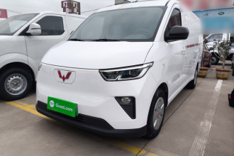 五菱汽车 五菱扬光 2024款 300km 舒适型封窗版 60kW
