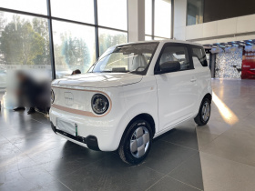 吉利银河 2024款 熊猫mini 200km 耐力熊