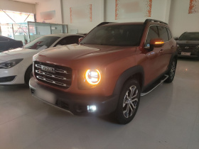 哈弗大狗 2021款 1.5T DCT两驱马犬-旺财版