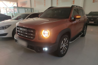 哈弗大狗 2021款 1.5T DCT两驱马犬-旺财版