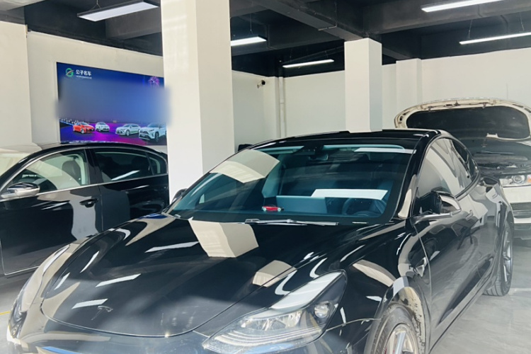 特斯拉 Model 3 2021款 标准续航后驱升级版 3D6车身外观6005