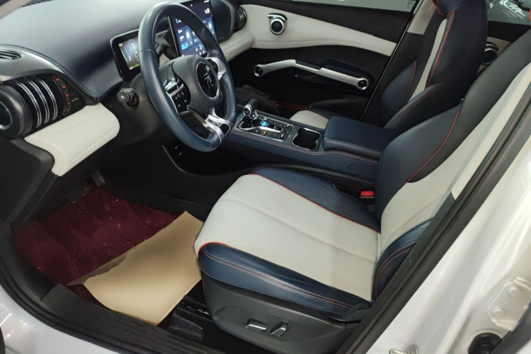 比亚迪 元PLUS 2023款 冠军版 430KM 领先型局部细节19