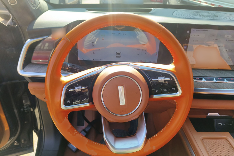 魏牌 蓝山 2023款 四驱超长续航版局部细节13