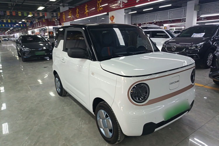 吉利银河 2024款 熊猫mini 200km 耐力熊车身外观6001