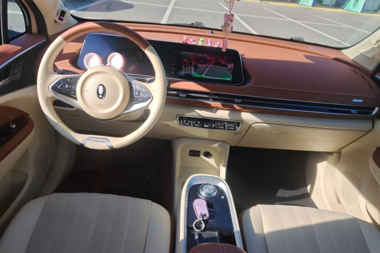 欧拉好猫 2022款 400km标准续航 尊贵型 磷酸铁锂中控内饰12