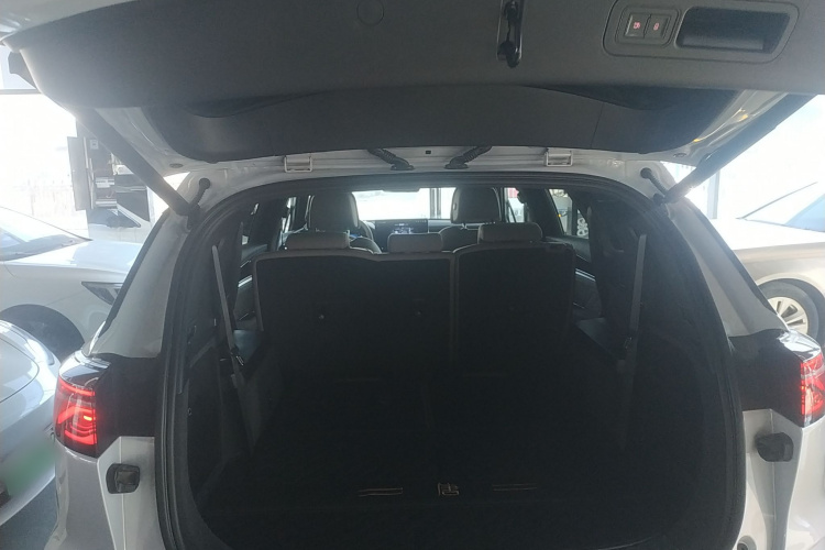 比亚迪 唐新能源 2024款 DM-p 冠军版 215KM 四驱旗舰型机舱底盘23