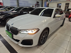 宝马5系新能源 2021款 535Le M运动套装