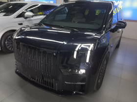 极氪009 2022款 WE版