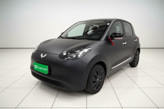 五菱汽车 五菱缤果 2024款 333km 悦享款