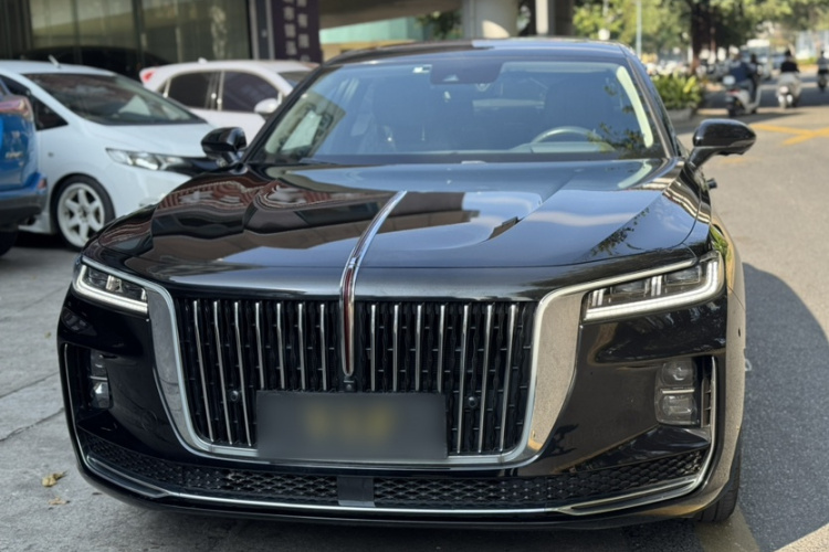 红旗H9 2020款 2.0T 智联旗畅版车身外观6002