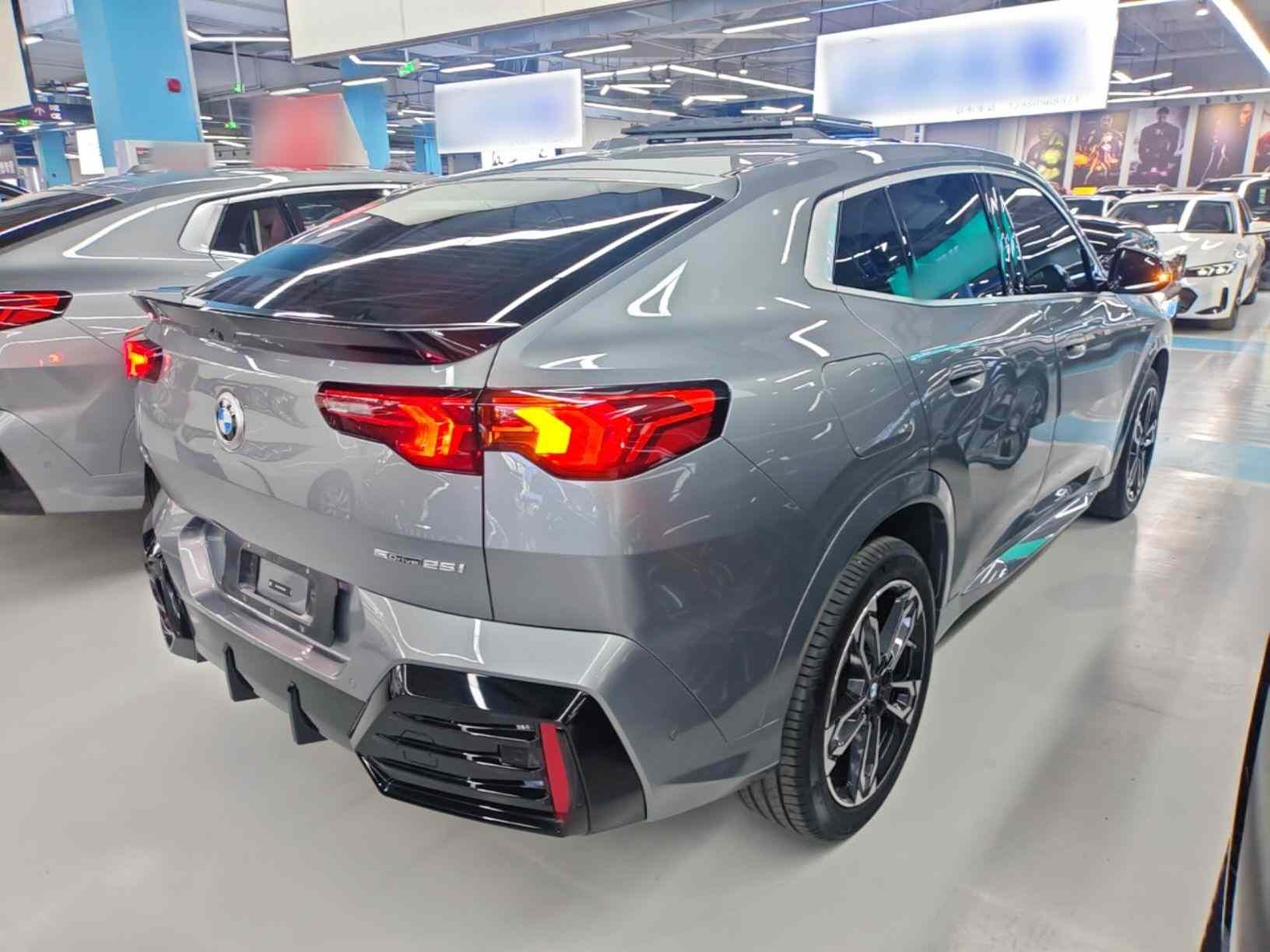 宝马X2(进口) 2024款 sDrive25i M运动套装(4)