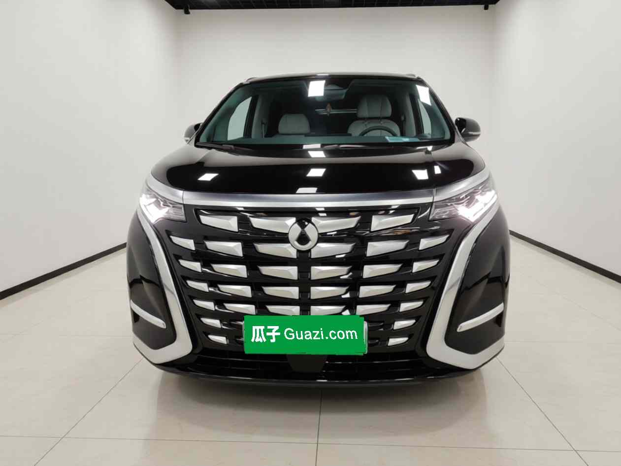 腾势D9 2022款 DM-i 1040 尊贵型(1)