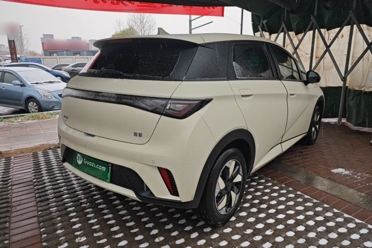 比亚迪 海豚 2025款 420km 自由版车身外观7