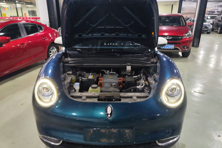 欧拉好猫 2021款 500km长续航 波塞冬版 三元锂局部细节24