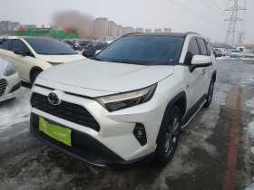 丰田 RAV4荣放 2023款 2.0L CVT两驱20周年铂金纪念版