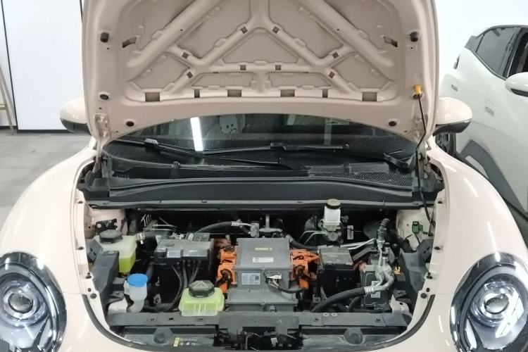 欧拉好猫 2023款 401km标准续航 豪华型 磷酸铁锂局部细节24