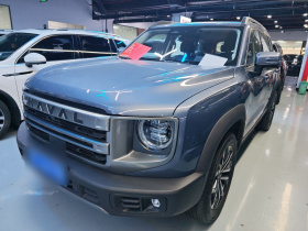 哈弗大狗 2024款 1.5T DCT边牧版