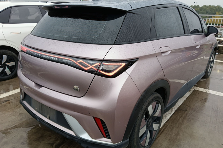 比亚迪 海豚 2021款 401km 骑士版车身外观6005