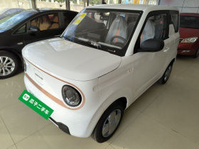 吉利银河 2024款 熊猫mini 200km 耐力熊