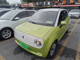 欧拉黑猫 2019款 301km 标准版