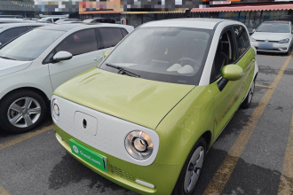 欧拉黑猫 2019款 301km 标准版