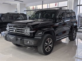 坦克300 2021款 城市版 2.0T 很有型