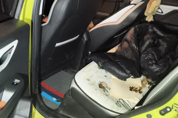 思皓 2022款 花仙子款 满天星中控内饰21