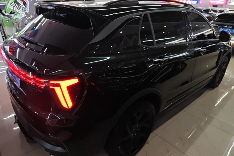 领克01 2023款 2.0TD 四驱暗夜版车身外观6003