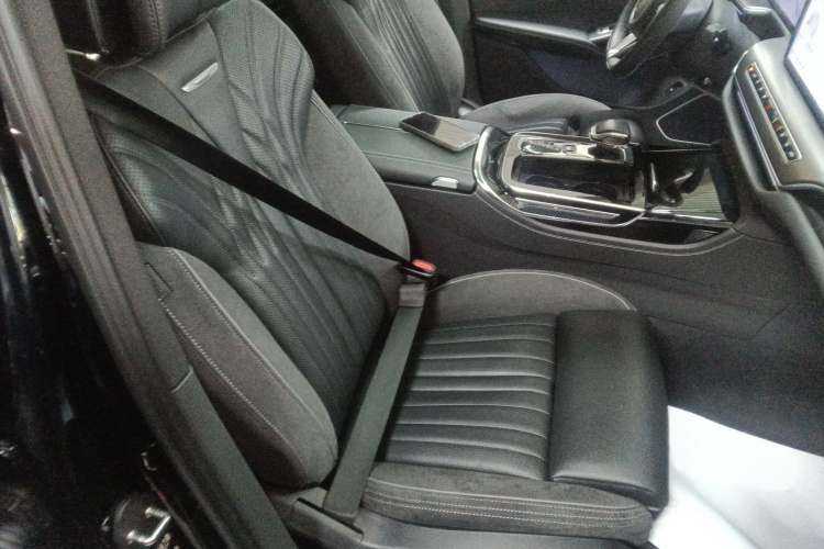 红旗H9 2024款 2.0T 旗畅 私享风尚版局部细节41