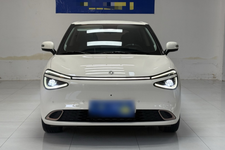 东风纳米 纳米01 2024款 430 Max车身外观6001