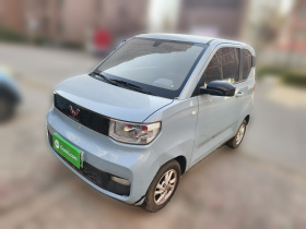 五菱汽车 宏光MINIEV 2020款 自在款 三元锂