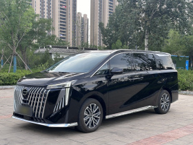 广汽传祺 传祺M8 2024款 大师系列 400T 尊贵版