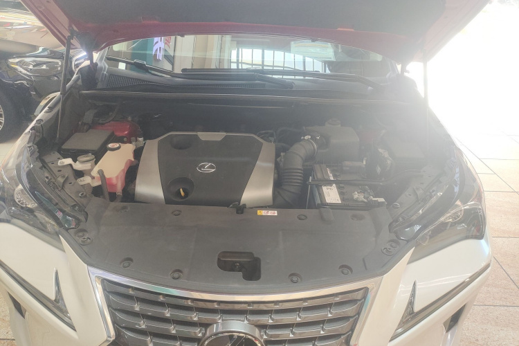 雷克萨斯NX 2020款 200 全驱 锋尚版 国VI局部细节24