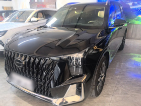 广汽传祺 传祺GS8 2022款 双擎系列 2.0TM 四驱尊贵版 （七座）