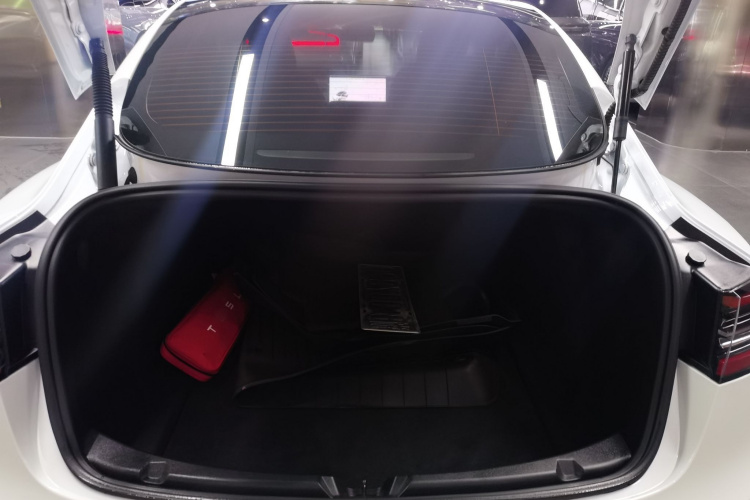 特斯拉 Model 3 2021款 标准续航后驱升级版 3D6局部细节23