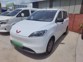 五菱汽车 五菱宏光新能源 2024款 纯电版 300KM 实用型