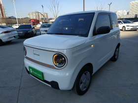 吉利银河 2024款 熊猫mini 200km 耐力熊