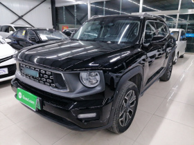 哈弗大狗 PLUS 新能源 2024款 Hi4 102km 潮电版Plus