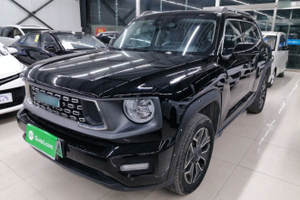 哈弗大狗 PLUS 新能源 2024款 Hi4 102km 潮电版Plus