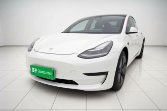 特斯拉 Model 3 2020款 改款 标准续航后驱升级版