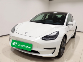 特斯拉 Model 3(进口) 2019款 长续航后驱版