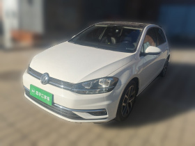 大众 高尔夫 2019款 280TSI DSG豪华型 国VI