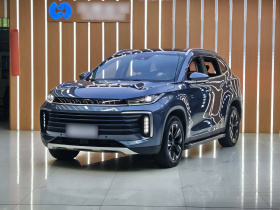 星途凌云 2021款 290T 两驱星享版